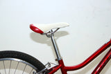 Trek MT220 Kids Bike (24in Wheels)