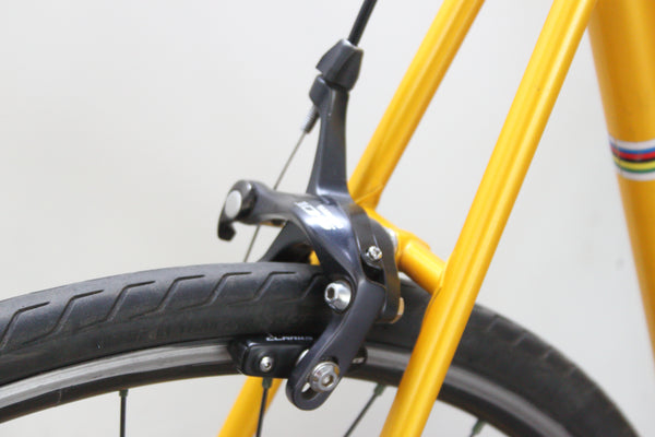 Panasonic Keirin Single Speed Bike (Medium)
