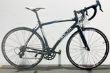 Dolan  Road Bike (Medium)