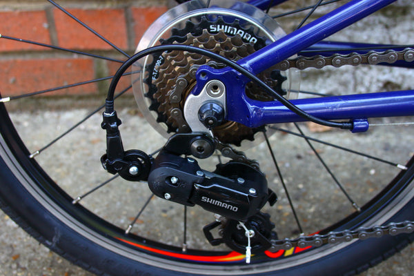 Wiggins CHARTRES Kids Bike (20in Wheels) COLLECTION ONLY