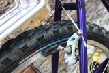 Trek SINGLETRACK Mountain Bike (Medium)