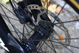 Early RIder Kids Bike (20in Wheels)