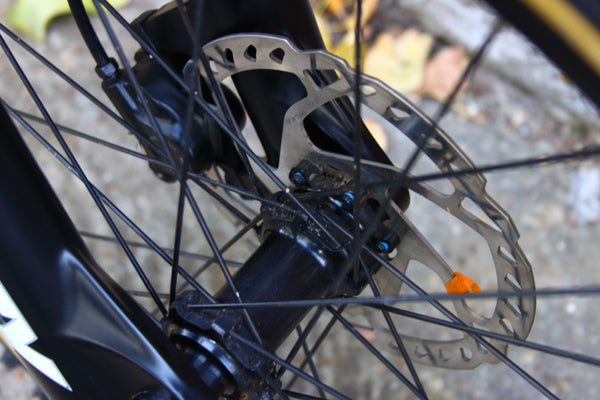 Early RIder Kids Bike (20in Wheels)