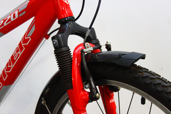 trek 24in bike