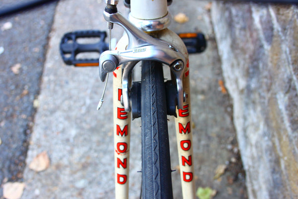 LeMond Alpe D'Huez Road Bike (Large)