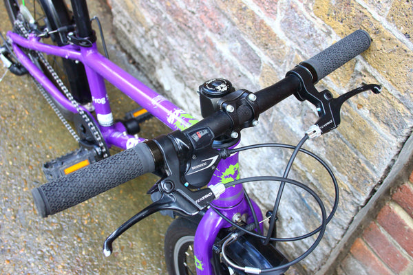 Frog Kids Bike (20in Wheels)
