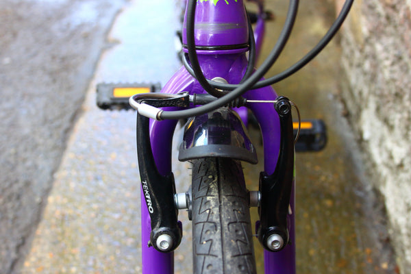 Frog Kids Bike (20in Wheels)