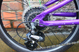 Frog Kids Bike (20in Wheels)