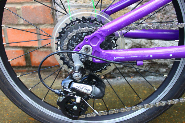 Frog Kids Bike (20in Wheels)