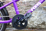 Frog Kids Bike (20in Wheels)