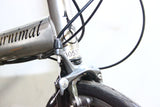 Airnimal Chameleon Folding Bike