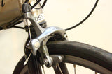 Airnimal Chameleon Folding Bike