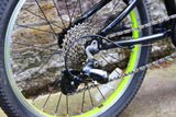 Trek Wahoo Kids Bike (20in Wheels)