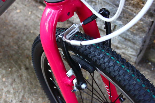 Puky LS-Pro 20 Kids Bike (20in Wheels)
