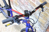 Wiggins Chartres 20 Kids Bike (20in Wheels)