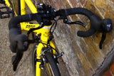 Frog Tour De France 58 Kids Bike (20in Wheels)