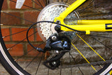 Frog Tour De France 58 Kids Bike (20in Wheels)