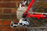 Specialized Rockhopper Mountain Bike (Extra Large)