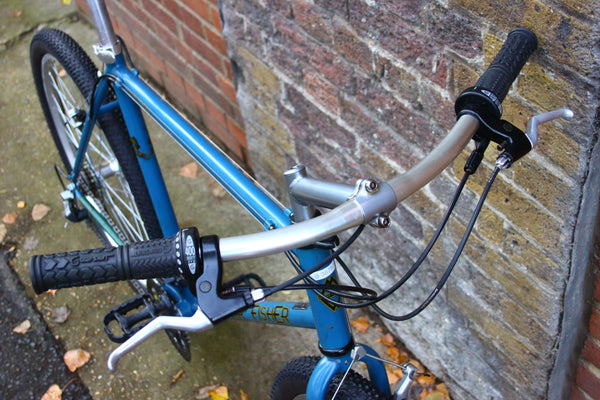 Gary Fisher Nirvana Mountain Bike (Large)