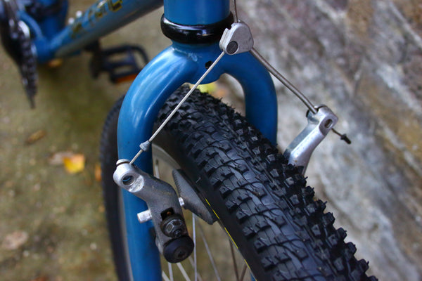 Gary Fisher Nirvana Mountain Bike (Large)