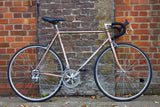 Dané  Vintage/Retro Custom Build Bike (Large)
