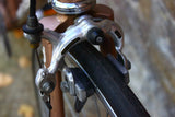 Dané  Vintage/Retro Custom Build Bike (Large)