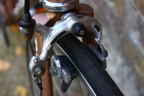 Dané  Vintage/Retro Custom Build Bike (Large)