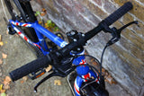 Frog 52 Kids Bike (20in Wheels)