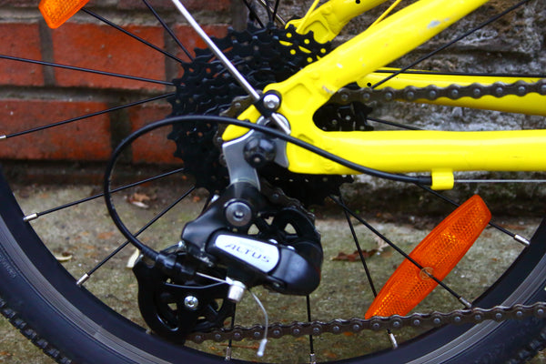 Frog Tour De France 55 Kids Bike (20in Wheels)