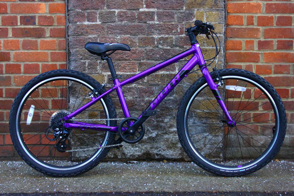 Giant ARX Kids Bike ()