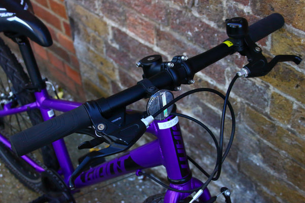 Giant ARX Kids Bike ()