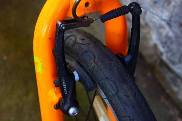 Frog Frog 48 Kids Bike (16in Wheels)