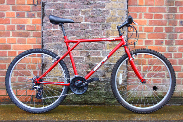 GT Palomar Mountain Bike (Large)