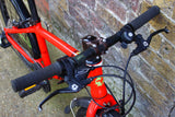 Frog 55 Kids Bike (20in Wheels)