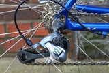 Surosa Audax Road Bike (Large)