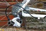 Pinarello Pina Road Bike (Medium)