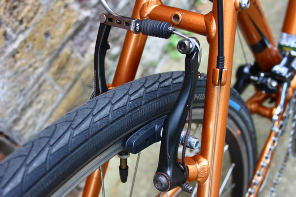 GT ZUM Mountain Bike (Medium)