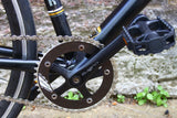 Specialized Langster Single Speed Bike (Medium)